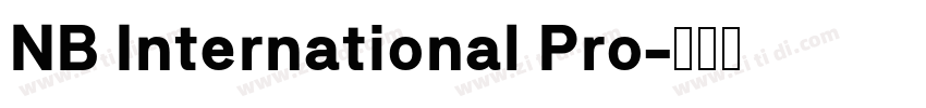 NB International Pro字体转换